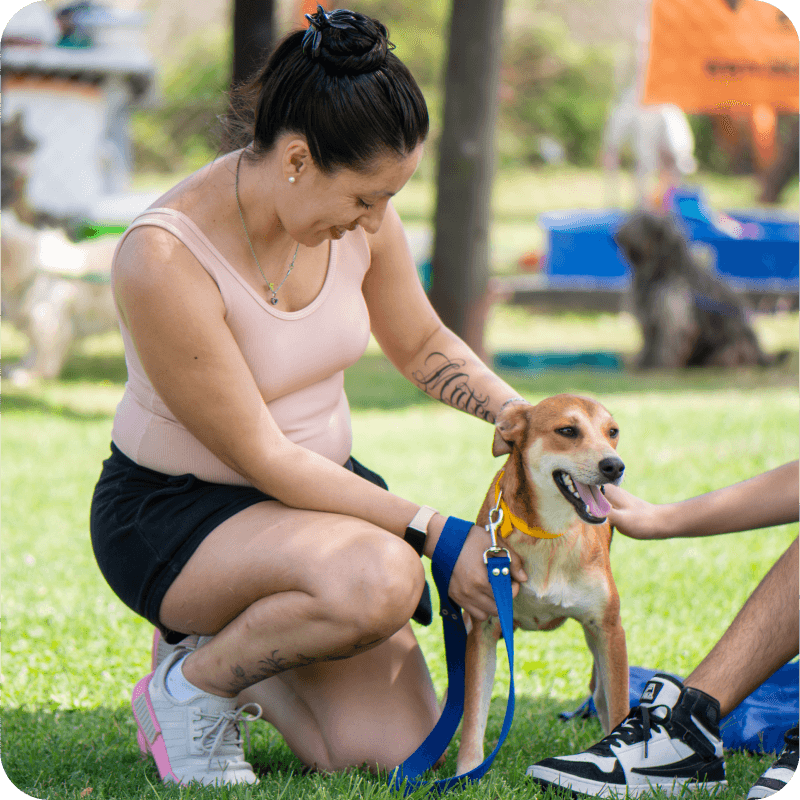 Campito Refugio Adoptar