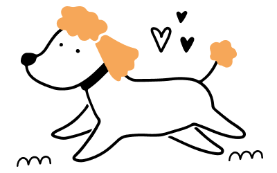 Campito Refugio Voluntariado