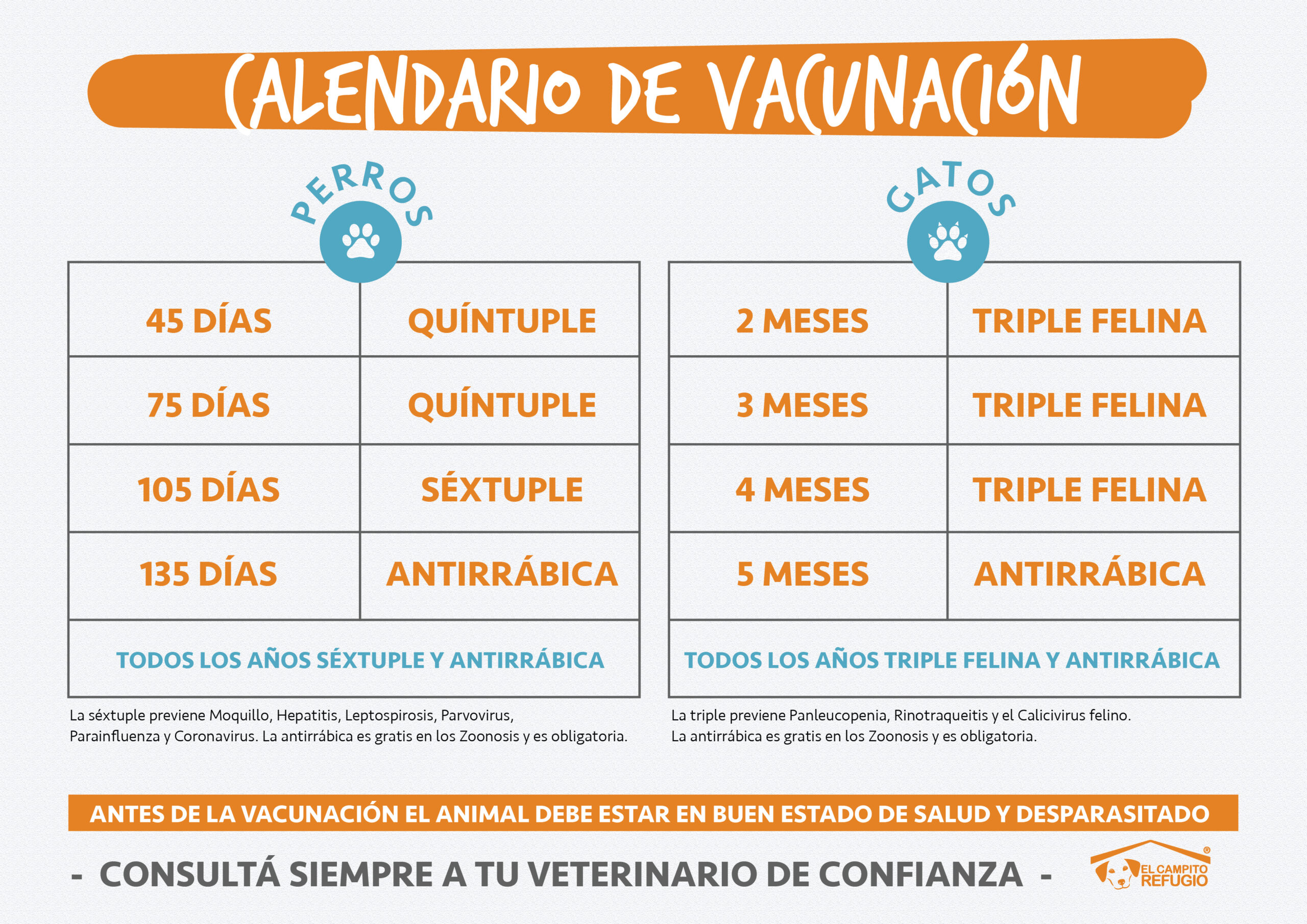Vacunación obligatoria para perros