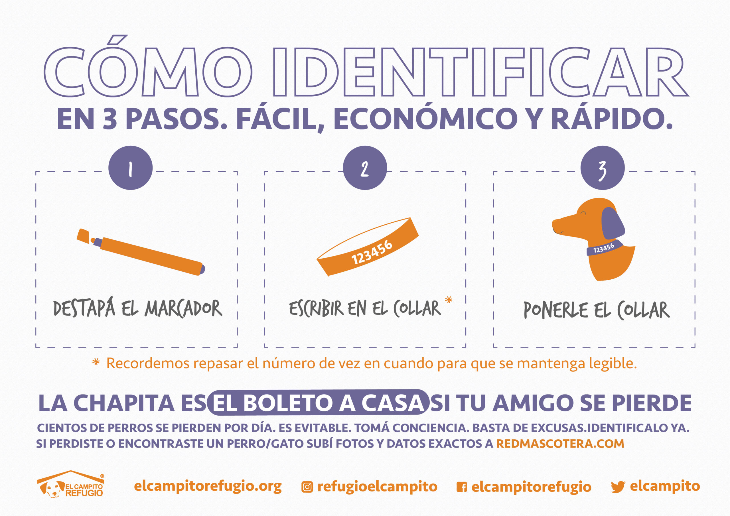 Cómo identificar a tu mascota