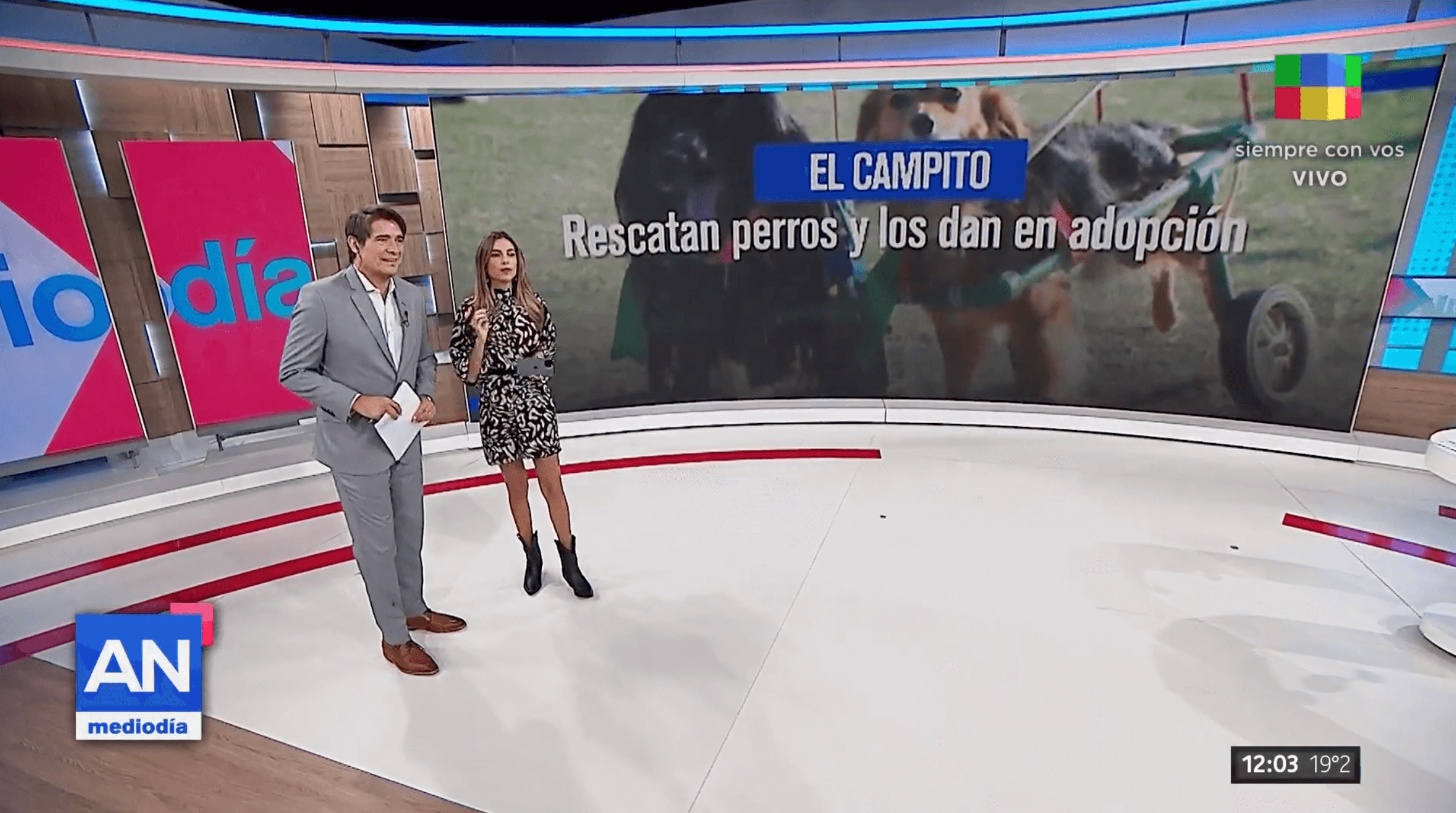 El Campito en América TV