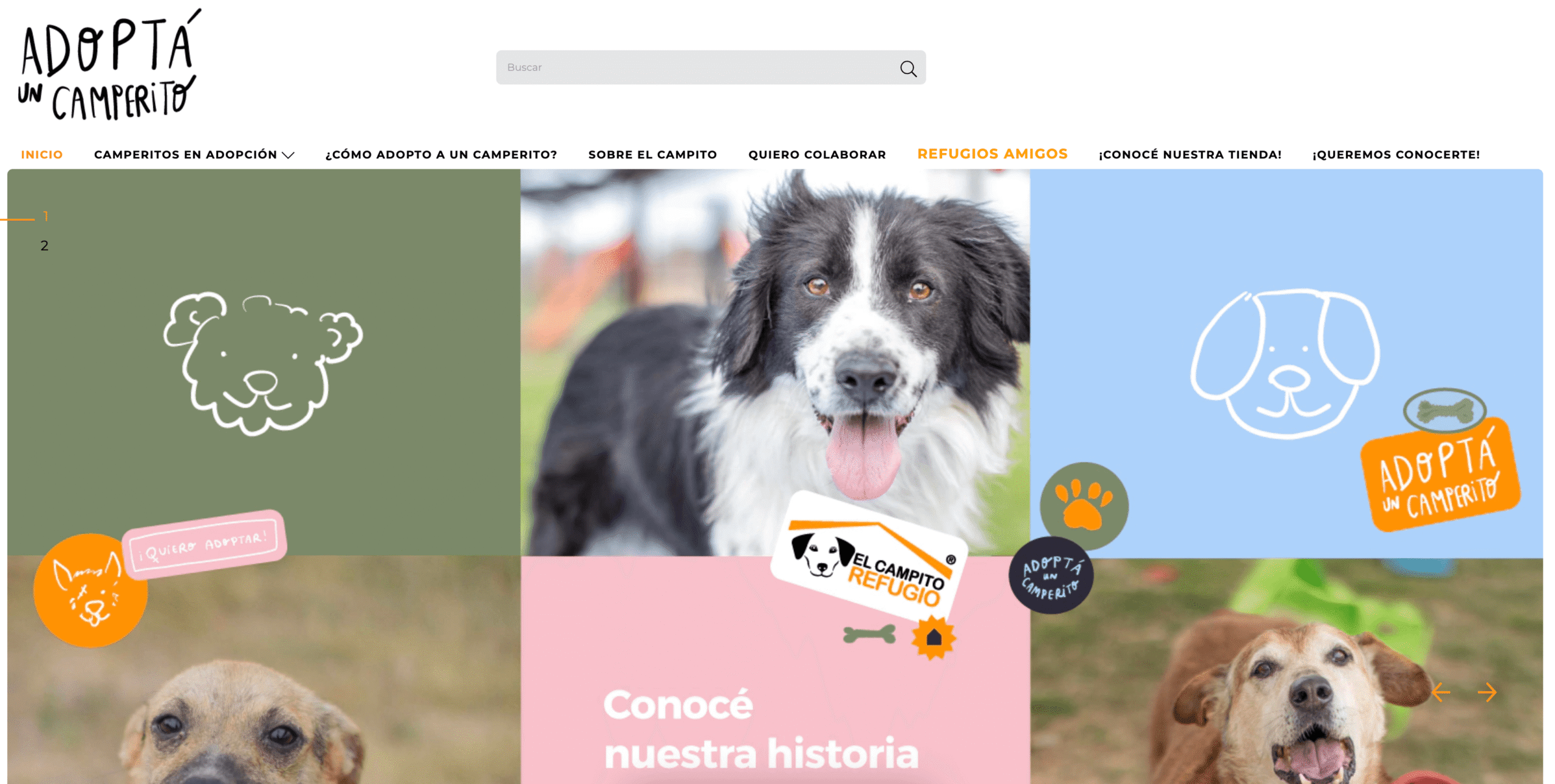 El Campito en Clarín: lanzamos la primera plataforma de adopción de perros de Argentina