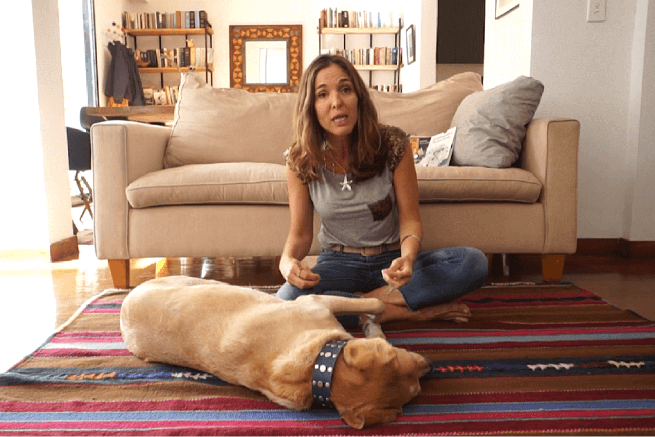 De lobos a compañeros: cómo los perros se convirtieron en protagonistas de nuestras vidas