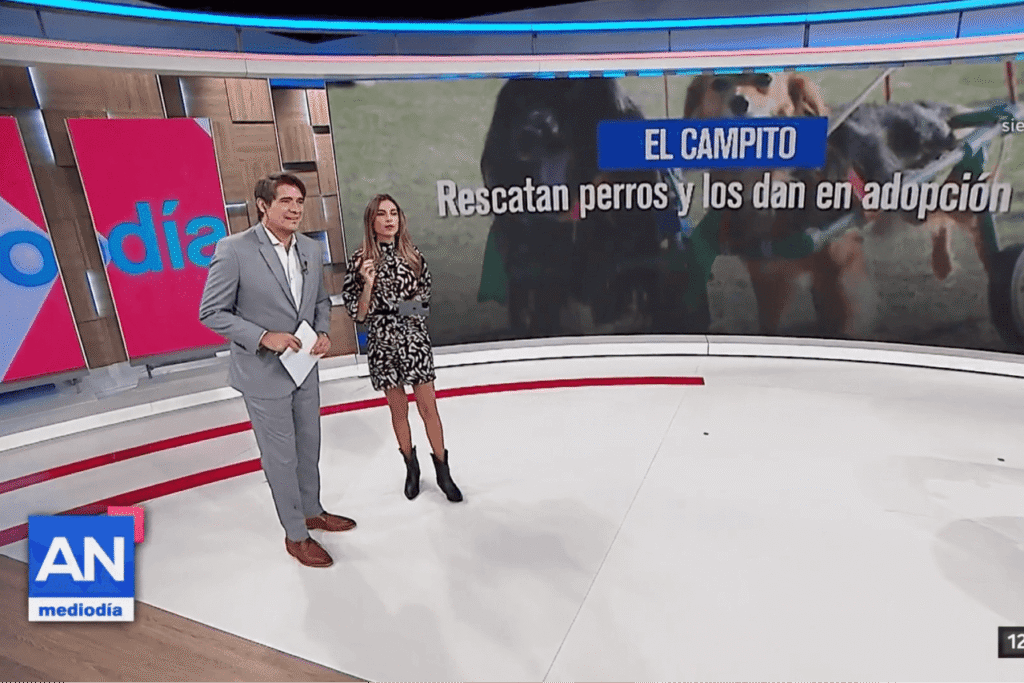 El Campito e00n América TV