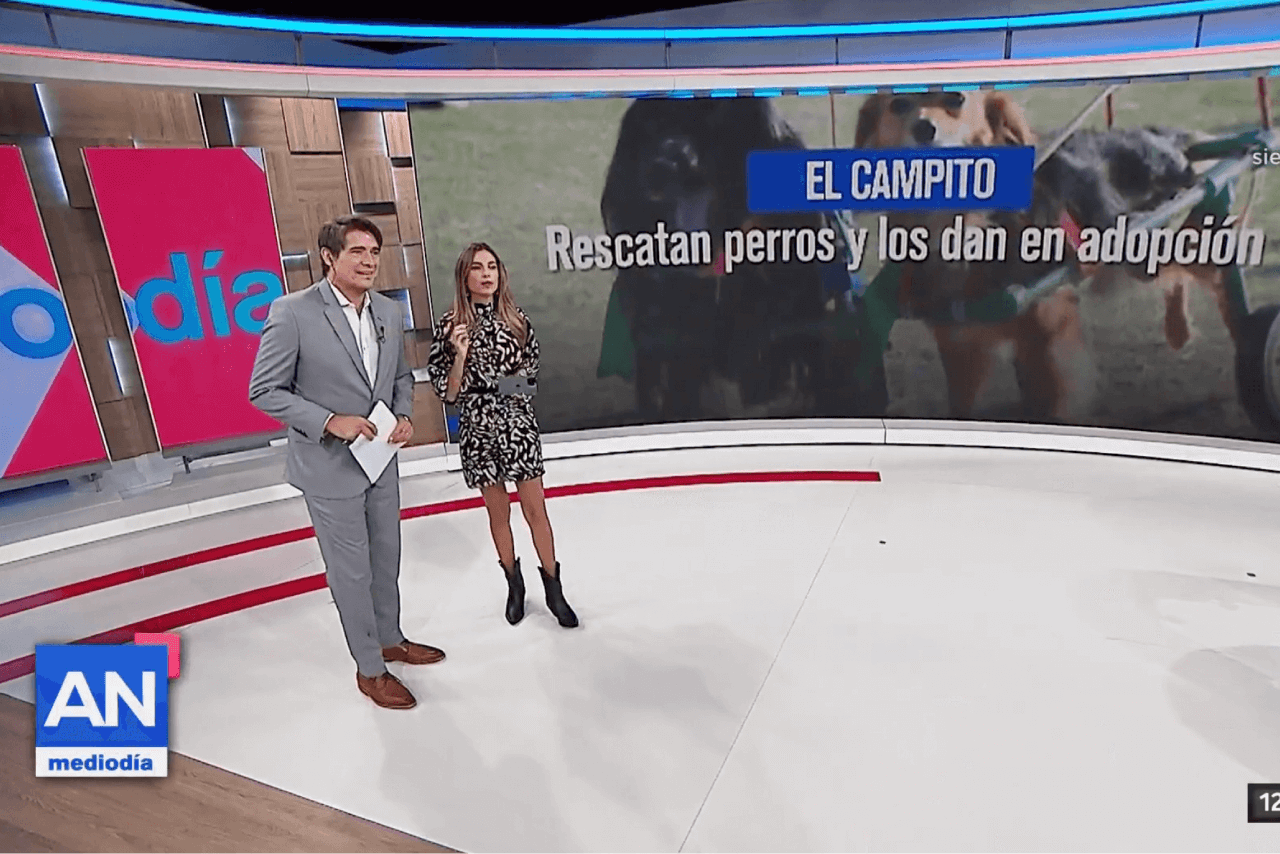 El Campito Refugio en América TV: visibilizando la adopción responsable en todo el país