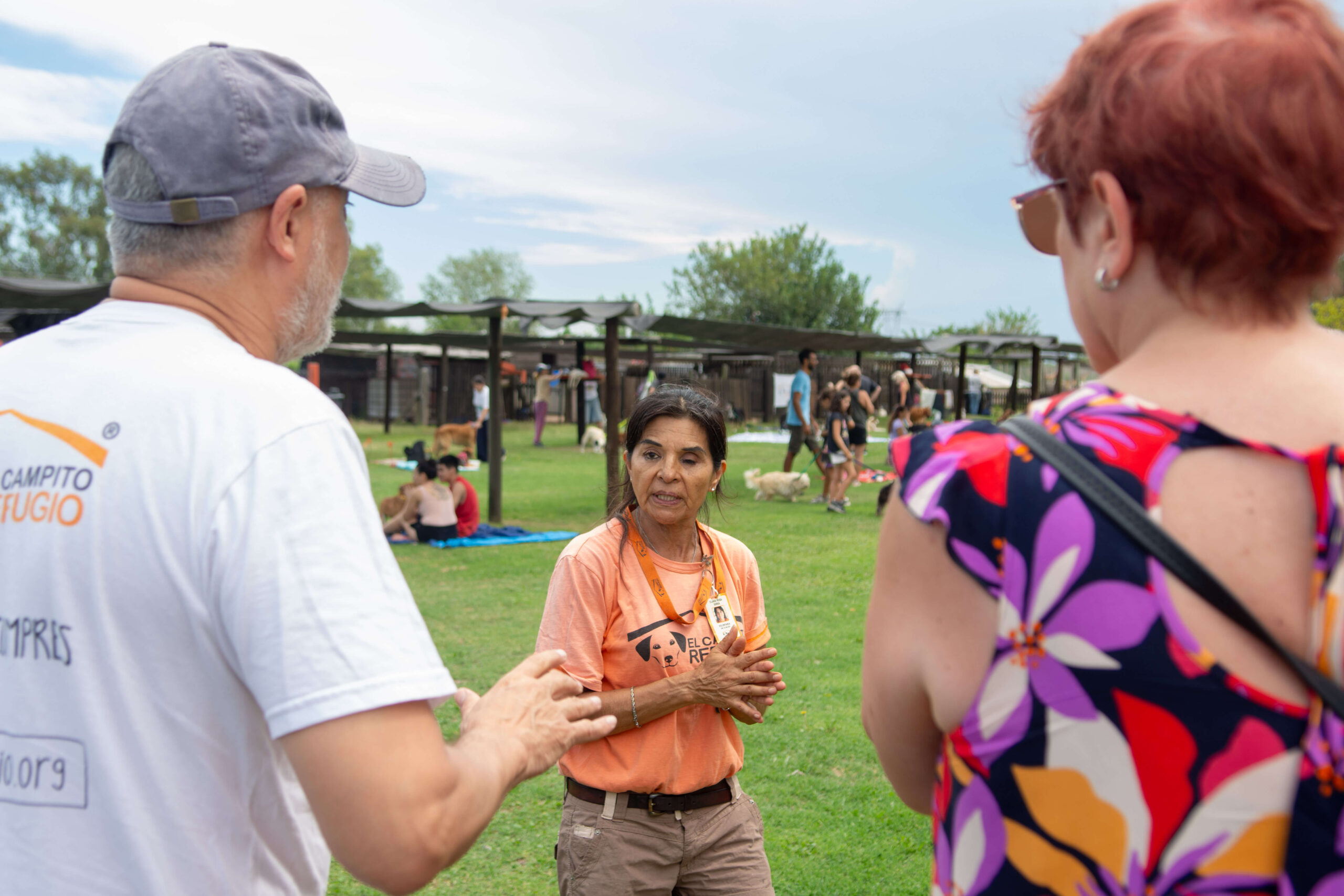 El suelo quema: consejos para cuidar las patitas de tu perro