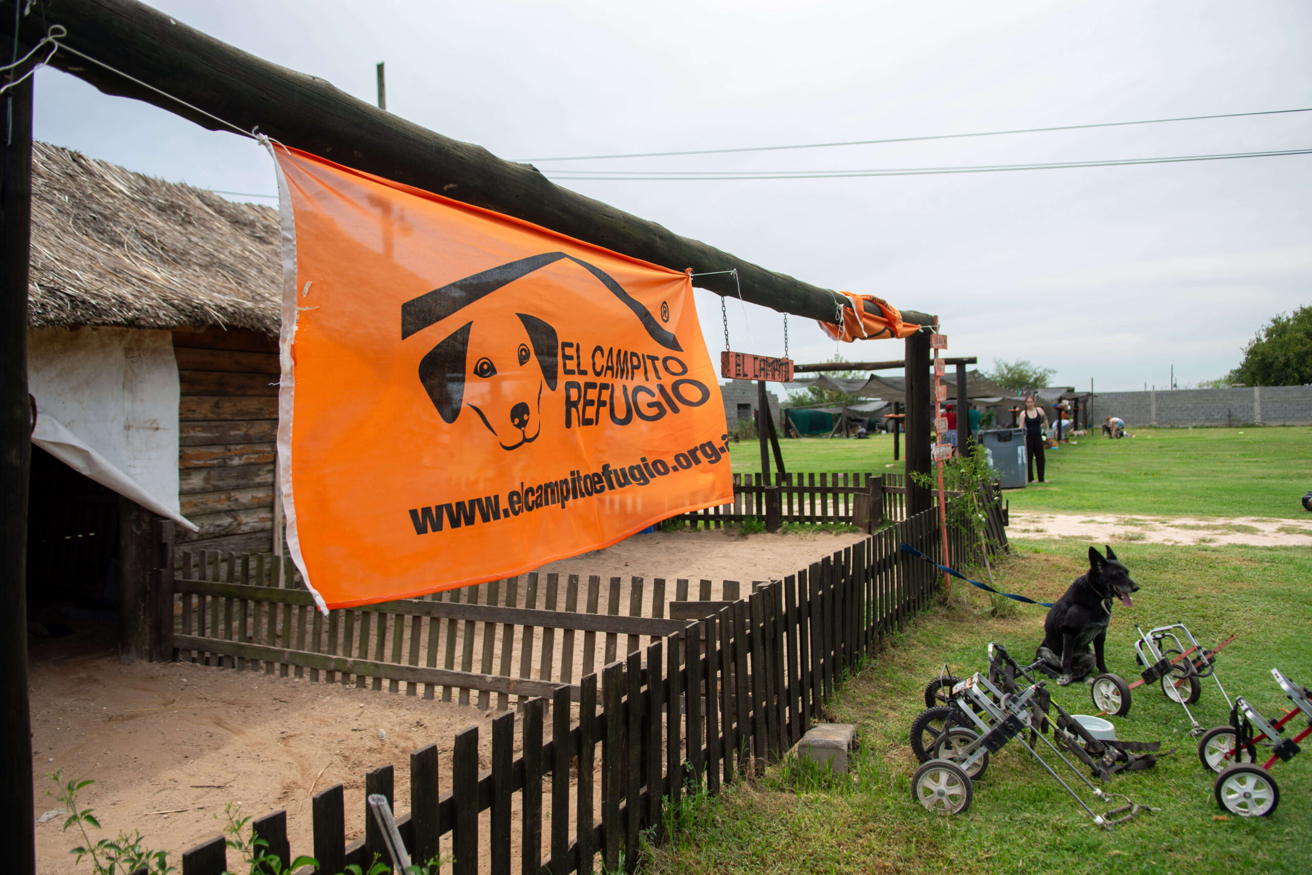 Proyecto Cigüeña: un viaje que cambia una vida (o dos)