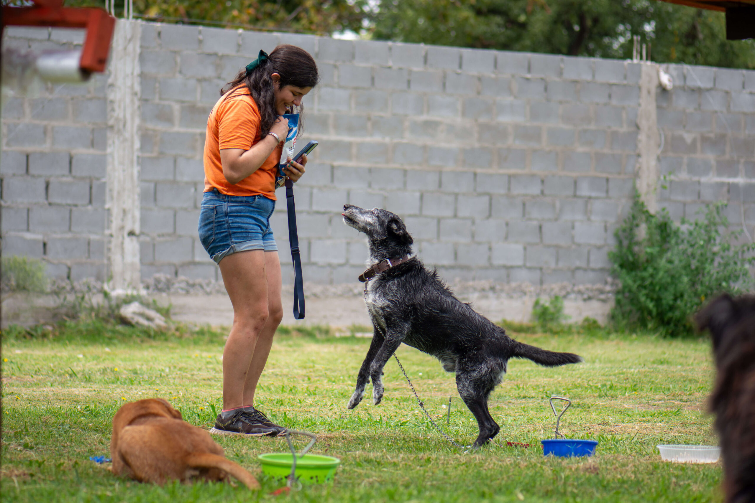 Ámbito Financiero destaca la alianza entre El Campito Refugio y Edesur