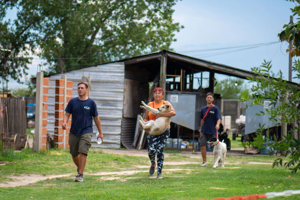 Cómo identificar a tu mascota
