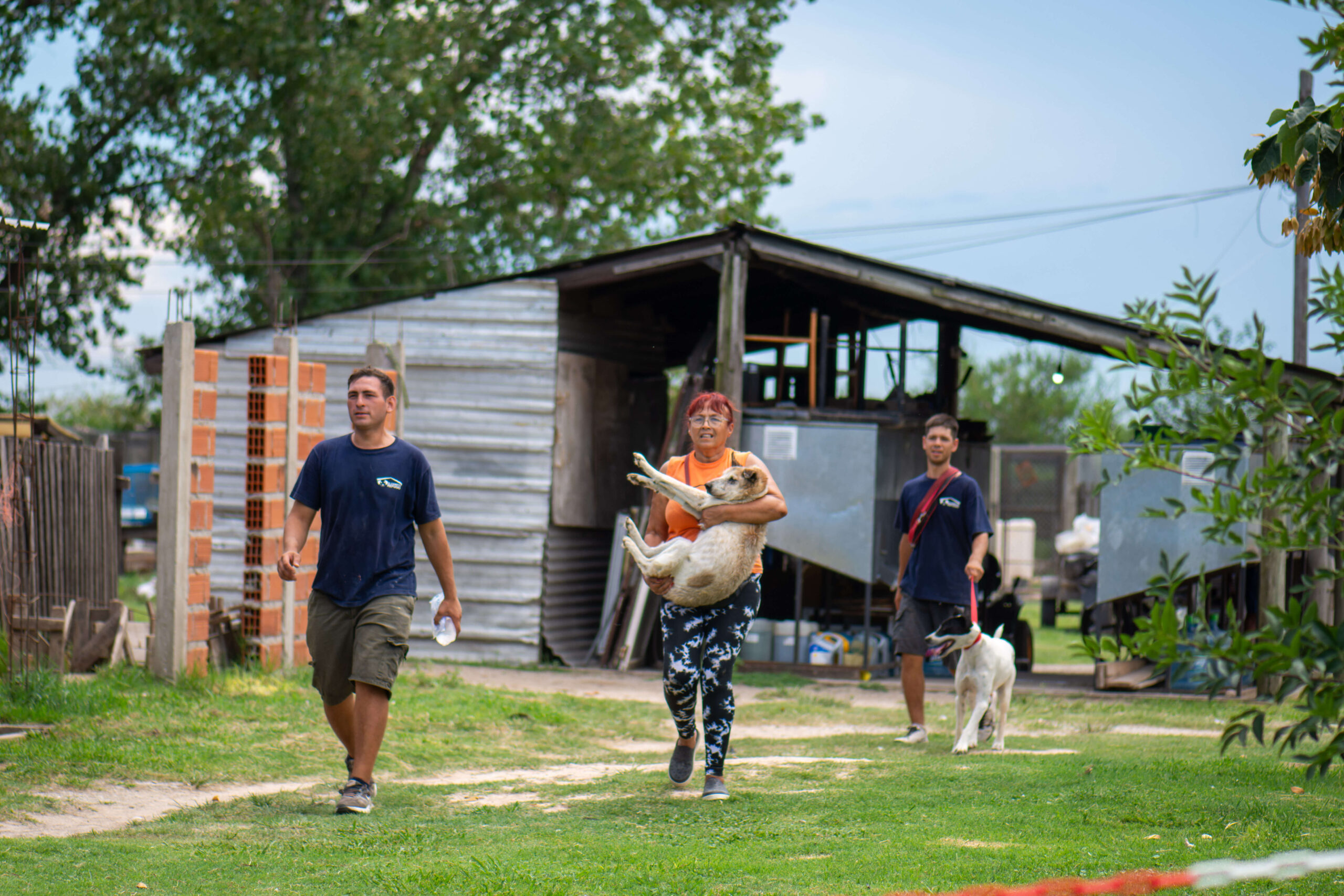Identificar a tu perrito: un gesto simple que puede marcar la diferencia en su cuidado