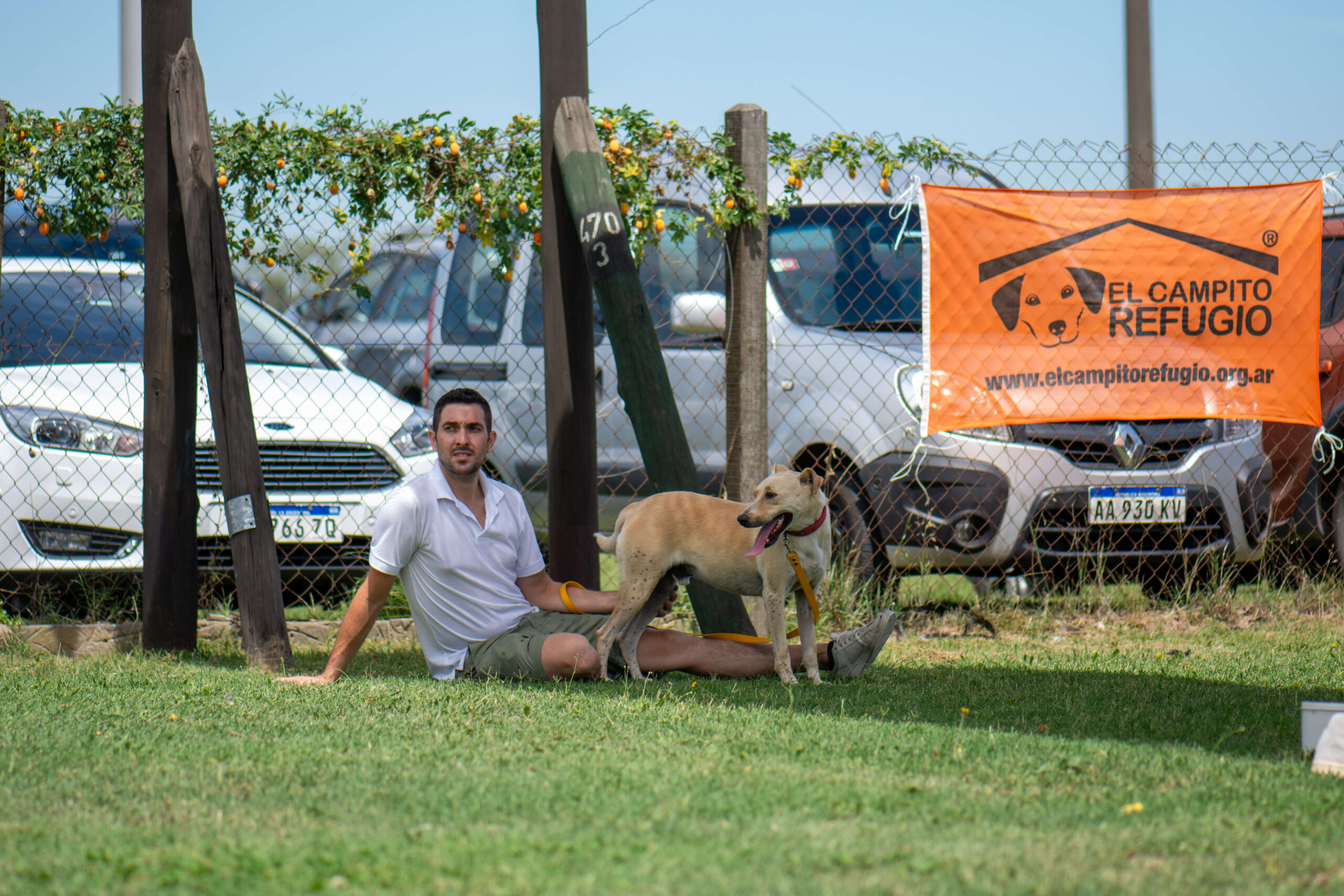 Hacia políticas sociales con perspectiva de derechos animales (Clase 2)