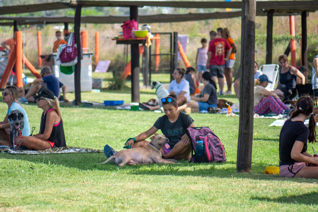 El campito refugio de perros en Argentina