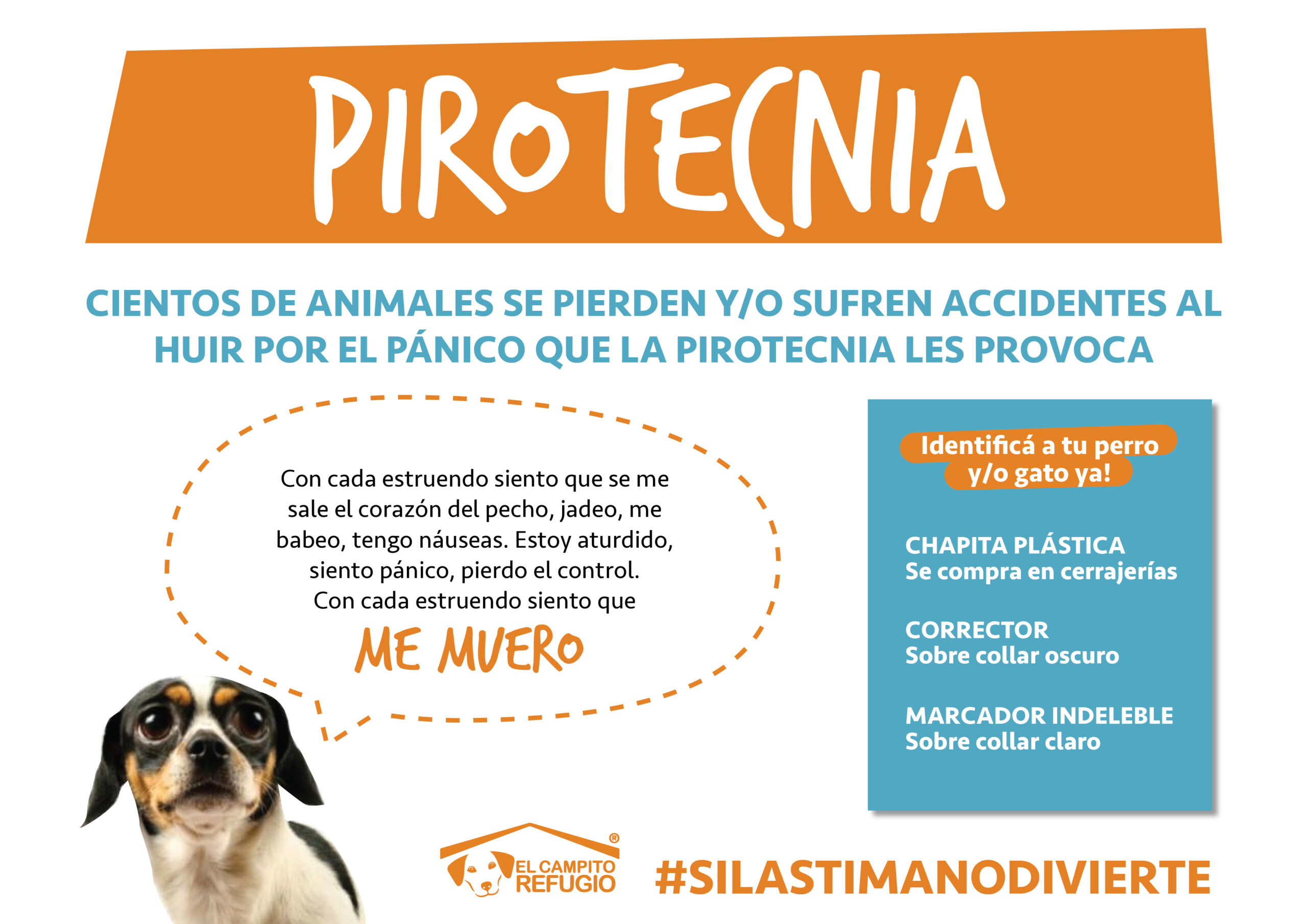Pirotecnia y perros
