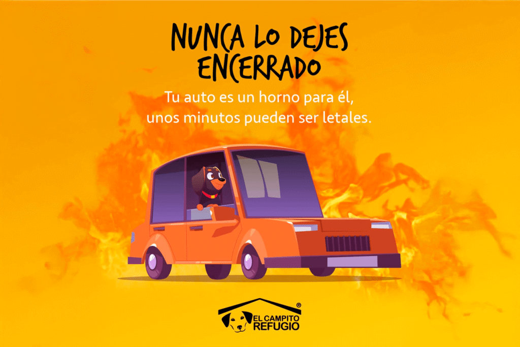 Un minuto en tu auto