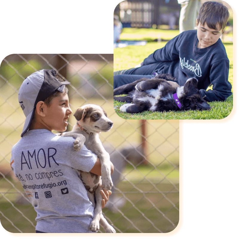 El refugio Campito de perros en Argentina