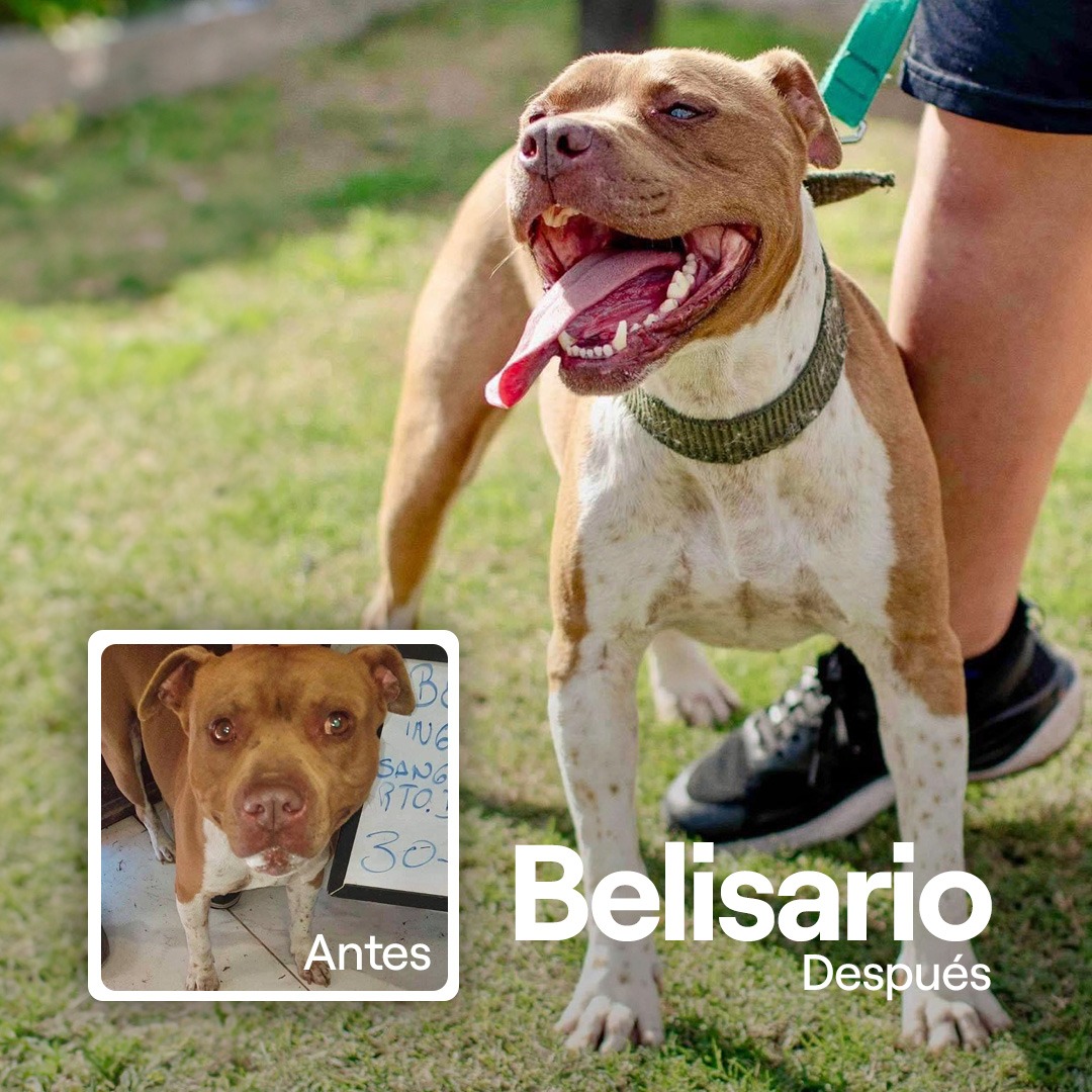 Donar transforma vidas - Belisario