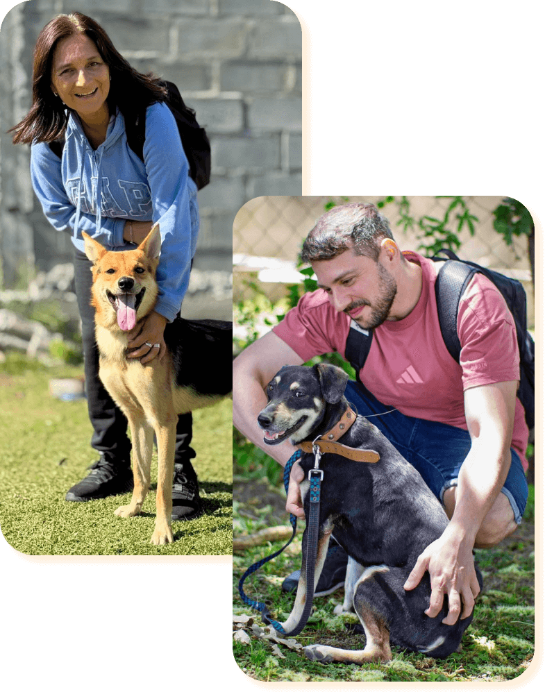 El refugio Campito de perros en Argentina