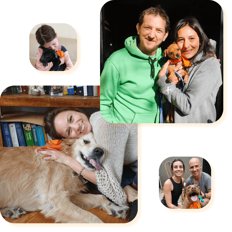 El refugio Campito de perros en Argentina